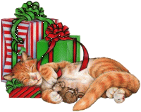image christmas cat and gifts