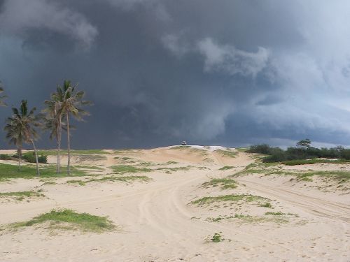 le desert du Ténéré