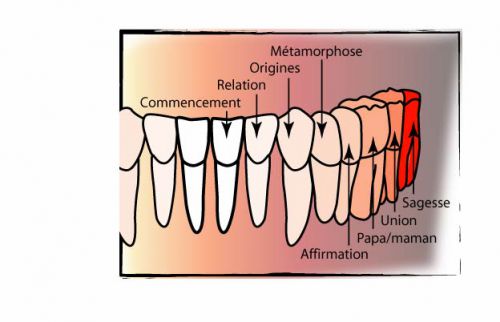  correspondance des dents avec l'Univers     bas