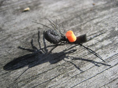 Big ant tag orange