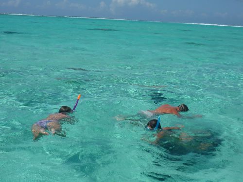 Bora-Bora, plongée avec les requins et les raies