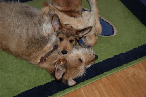 Adelle avec maman Cayenne