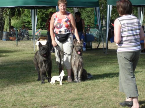 Meilleur couple Pfungstadt 2008 Brennus + Cosima