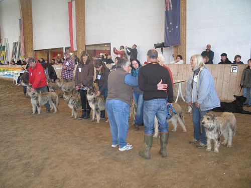 Le lot d'élevage des Bergers des Fays