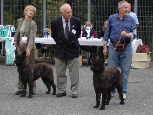 NE 2006 à Orléans Classe puppy Betty et Brennus 9 mois