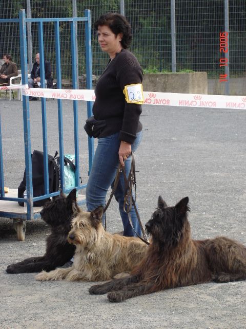 Brennus, Themis-A et Surcouf  toujours à Orléans NE 2006