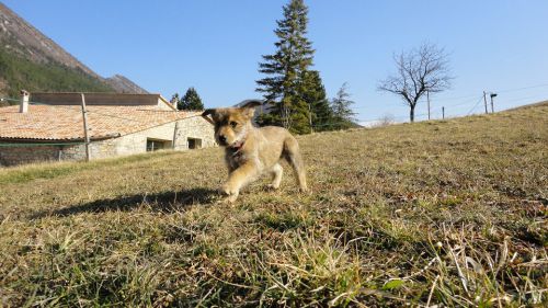 Hilou dans sa nouvelle famille, à la découverte du monde