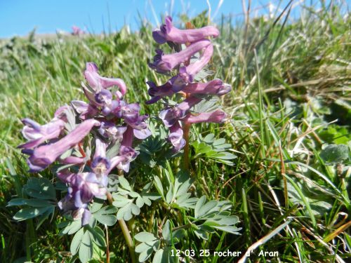 12 03 25 rocher d' Aran