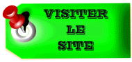 https://static.blog4ever.com/2010/02/393306/visite-site-vert.gif