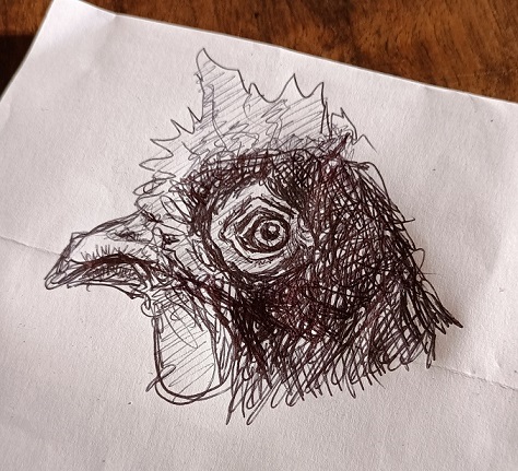 Poule au Bic