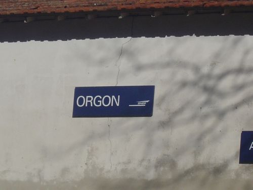 ORGON 