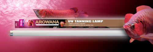AROWANA TANNING LAMP  Arowana Unterwasser Set/ arcadia
