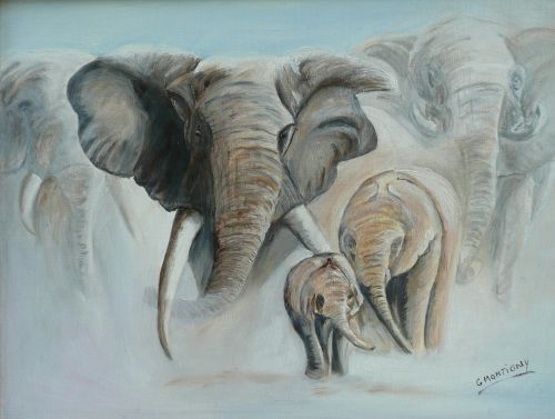Famille d'éléphants