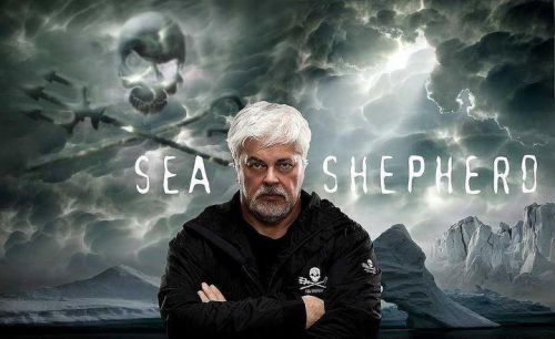 Paul Watson, ancien co fondateur de Green Peace et actuel fondateur et Président d'honneur de 