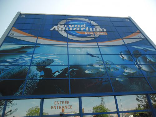 Visite des aquariums de Saint-Malo