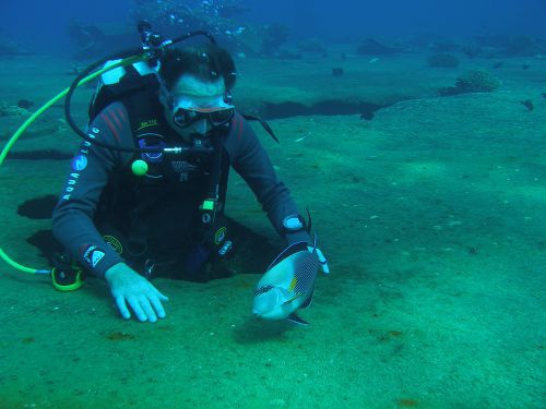 Je joue avec le poisson en gratant la coque