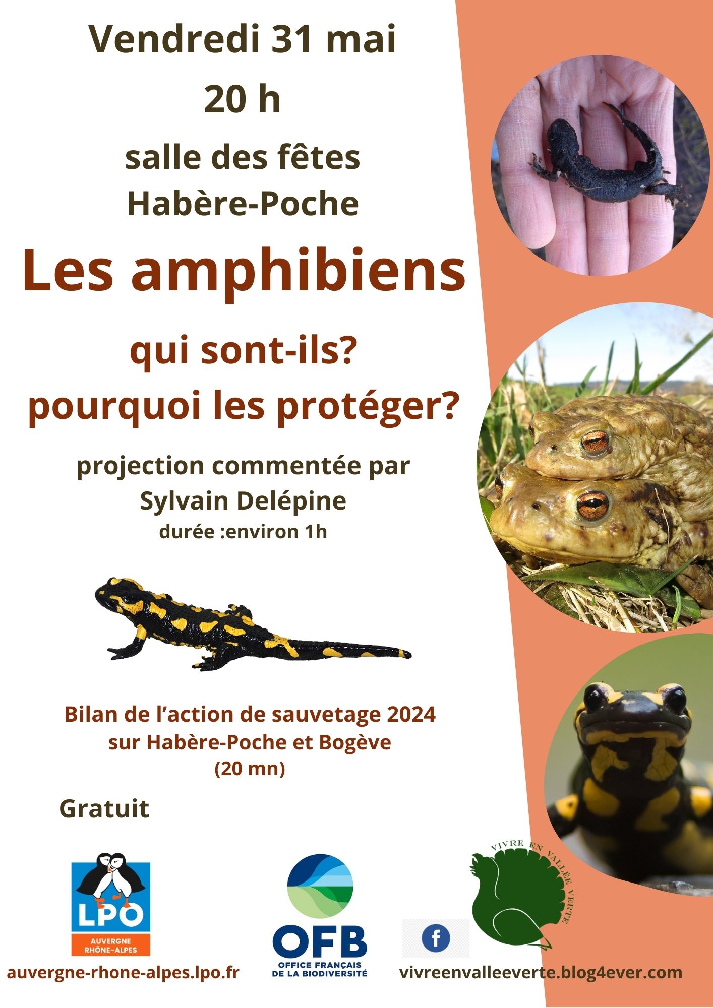 recto flyer amphibiens