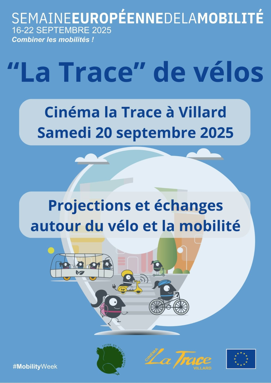 Version affiche
