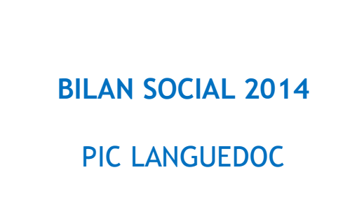 bilan social 2014.PNG