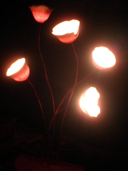 bouquet de tulipes lumineuses