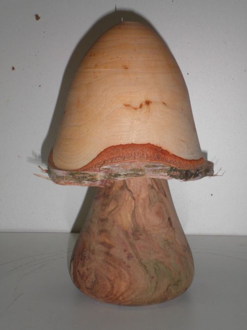 lampe de chevet  champignon pieds en marronier  abat jour bouleau