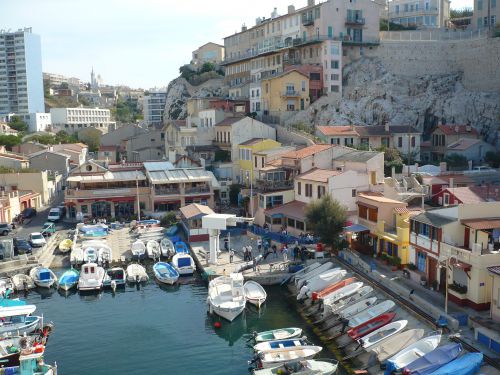 Le vallon des Auffes découvre le gros poisson !!