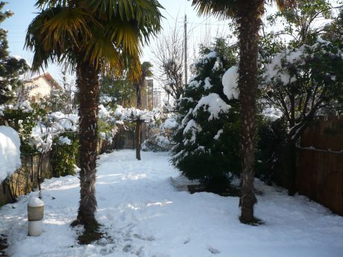 Le jardin enfariné attend mon retour . Ce soir, soupe de fèves au lard