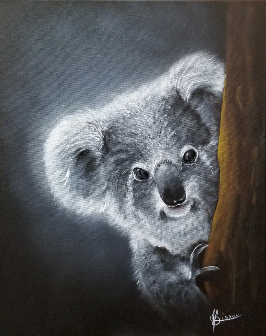 koala.jpg