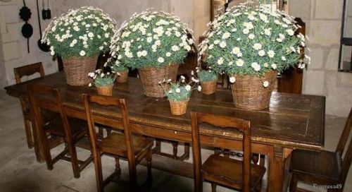 Table salle à manger