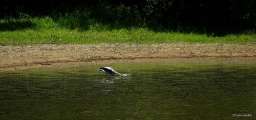 Mode de Pêche