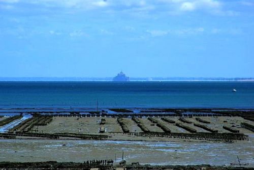 Parc à moule dans la baie de Cancale. Au fond on aperçois le Mont St Michel