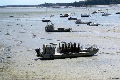 Bateau à fond plat servant à ramasser les huitres.