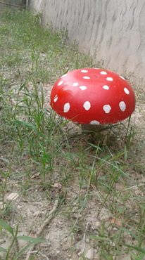 Garden deco :cement mushrooms