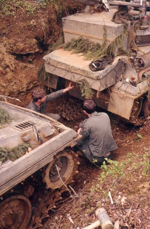 Déchenillage dans un chemin creux