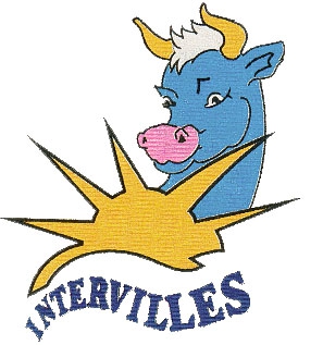 LogointervillesTF1.jpg