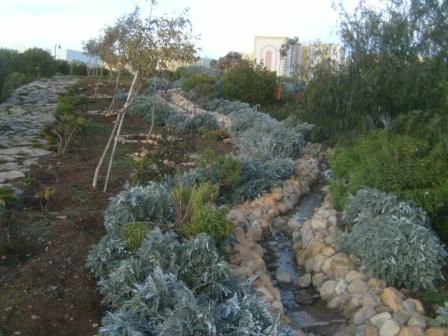 Jardin du premier novembre 1954 à Sétif