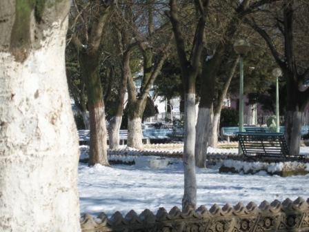 Sétif sous la neige fin janvier 2012