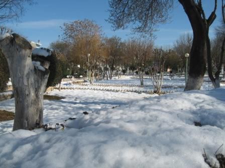 Sétif sous la neige fin janvier 2012