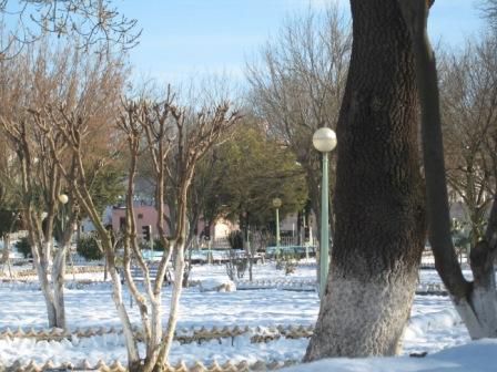 Sétif sous la neige fin janvier 2012