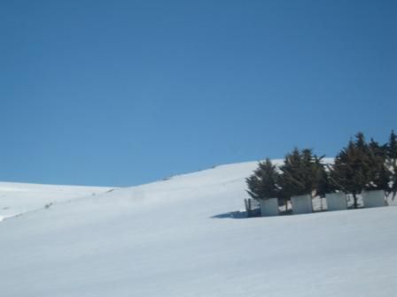 Neige sur la route Sétif - El Mawane - Bougaa