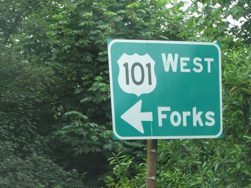 Direction Forks