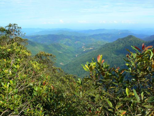 Hauteur du Parc Kinabalu