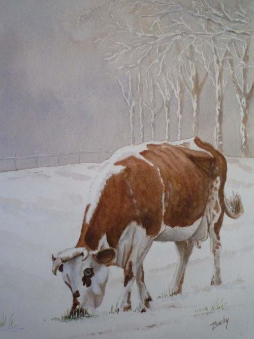 une vache dans la neige