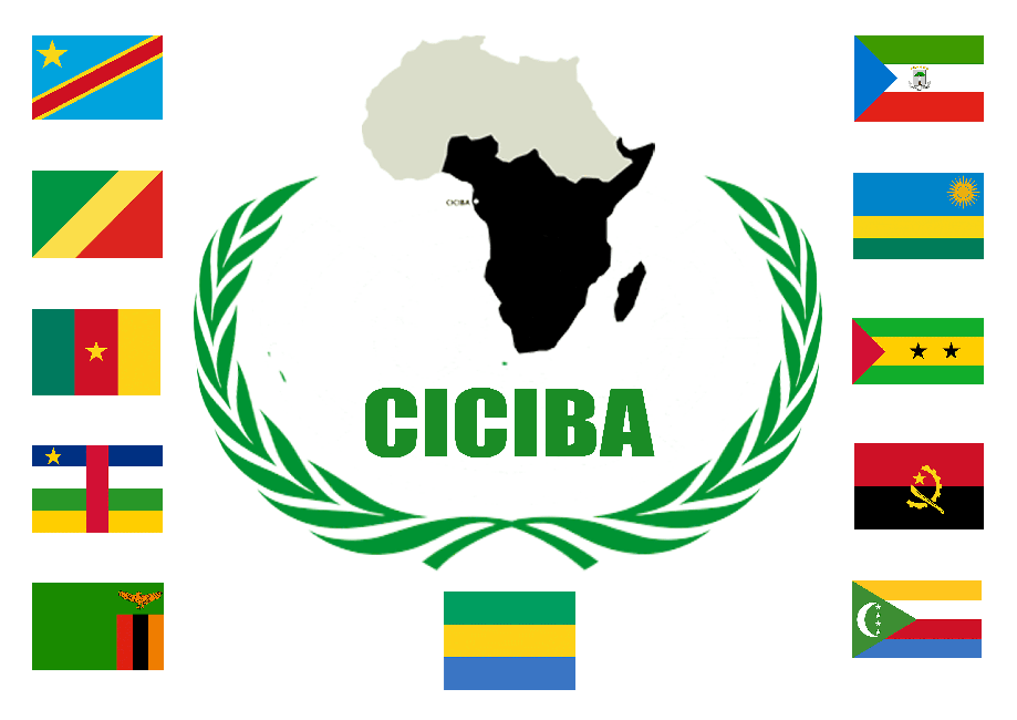 DRAPEAU-CICIBA Centre International des civilisations bantu