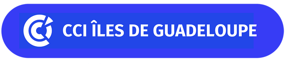logo cci iles de Guadeloupe