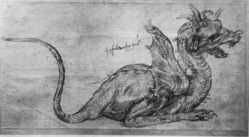 800px-Dragon_Duerer.jpg