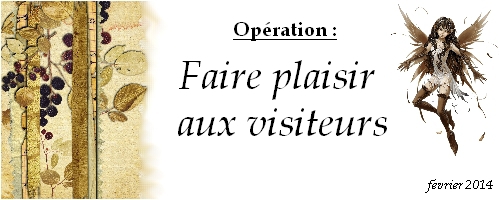 op--ration-f--vrier.JPG