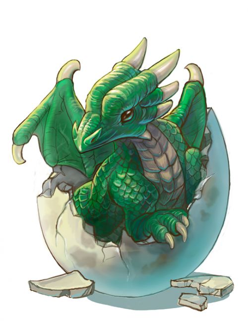 Petit dragon vert