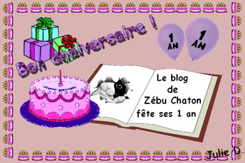 1 anniversaire de Zébu Chaton