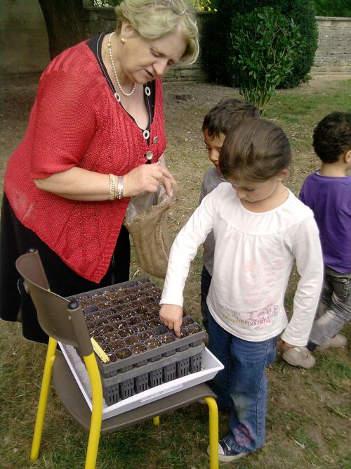 Action : on plante un pin des landes